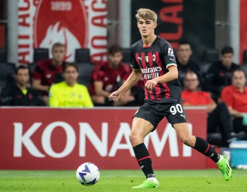 让他在季后 让他在季后