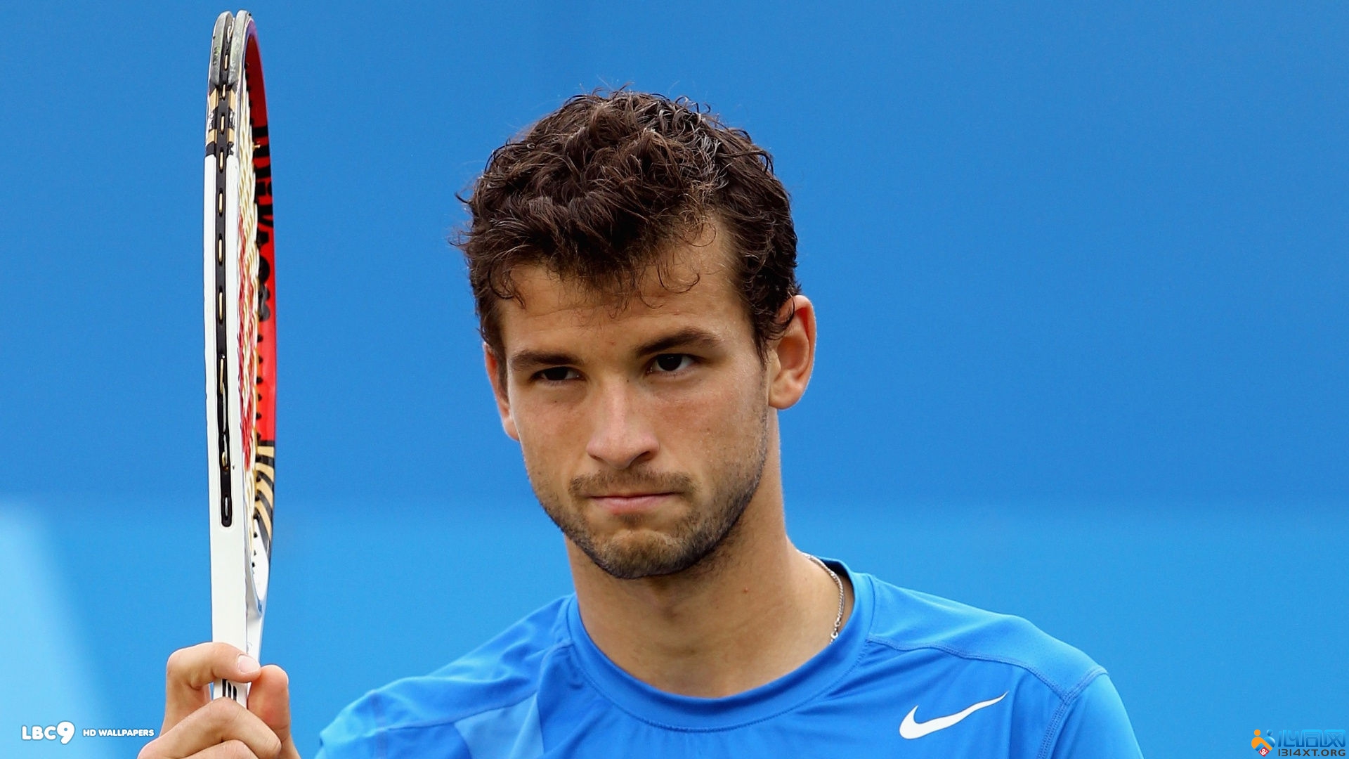 守约基奇的 守约基奇的