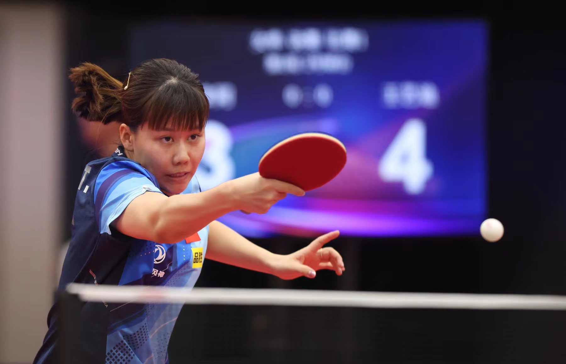 老鹰vs子 老鹰vs子